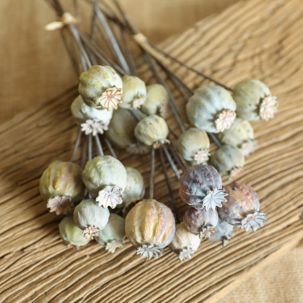 Dried Fruit Mix - 6Heads Poppies Fruit Dried Flower Bunch