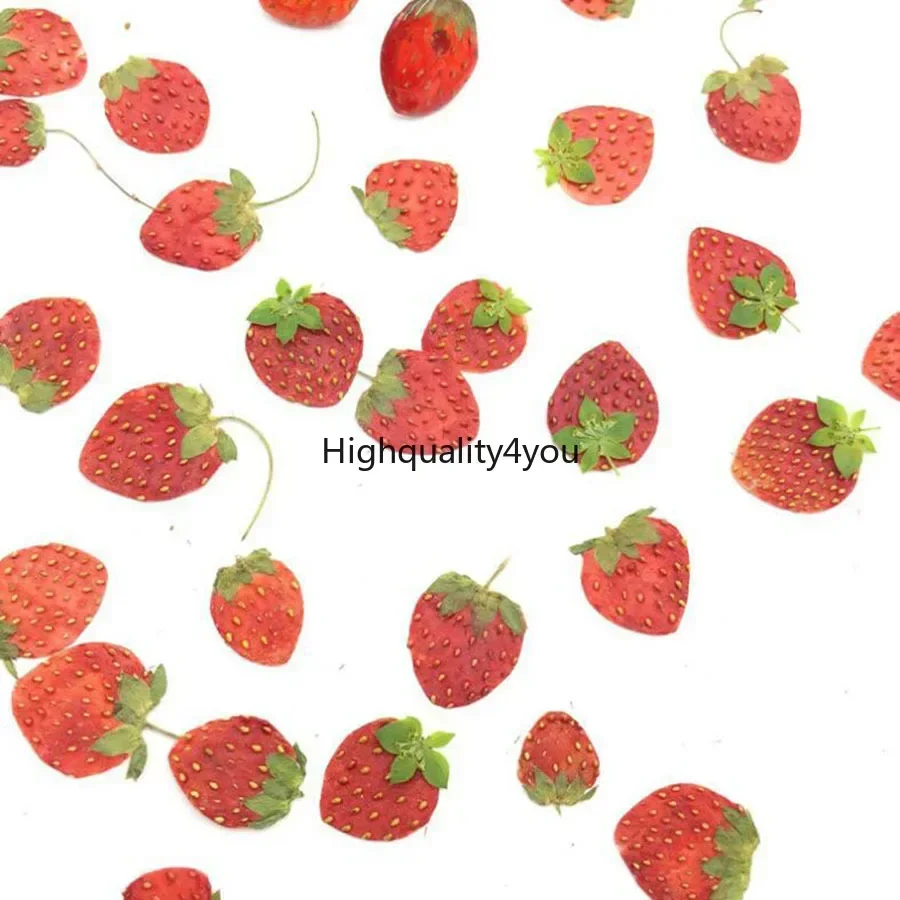 Dried Fruit Mix - 10pcs Dried Pressed Mini Fruit Strawberry