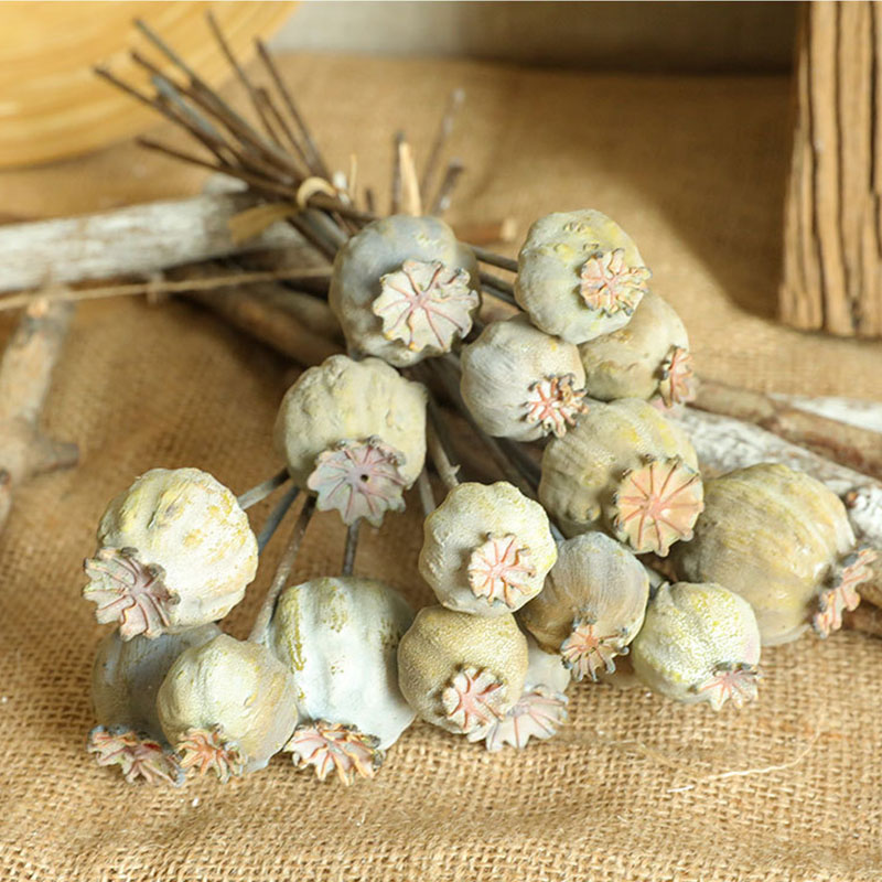 6Heads Poppies Fruit Dried Flo - Dried Fruit Mix incelemesi ve fiyatı