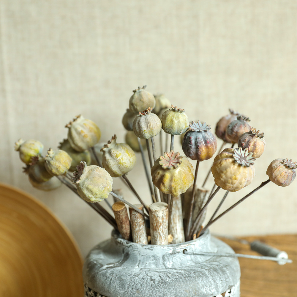 6Heads Poppies Fruit Dried Flo - Dried Fruit Mix incelemesi ve fiyatı