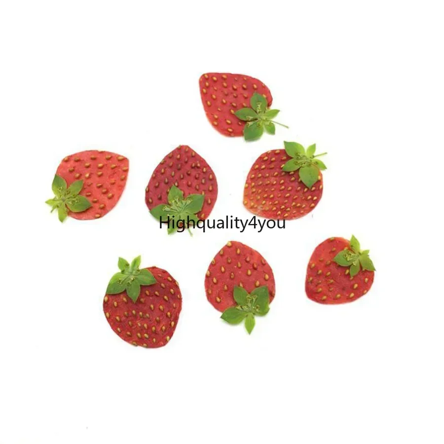 10pcs Dried Pressed Mini Fruit - Dried Fruit Mix incelemesi ve fiyatı