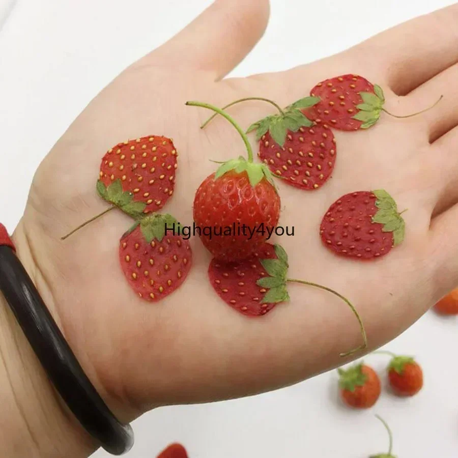 10pcs Dried Pressed Mini Fruit - Dried Fruit Mix incelemesi ve fiyatı